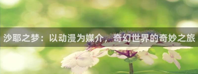 78动漫网