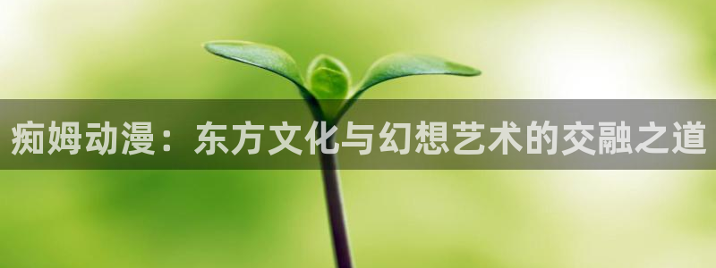 78动漫网站维护