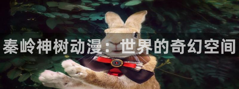 78动漫不用下载看