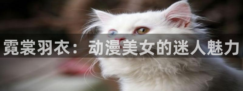 78动漫周边