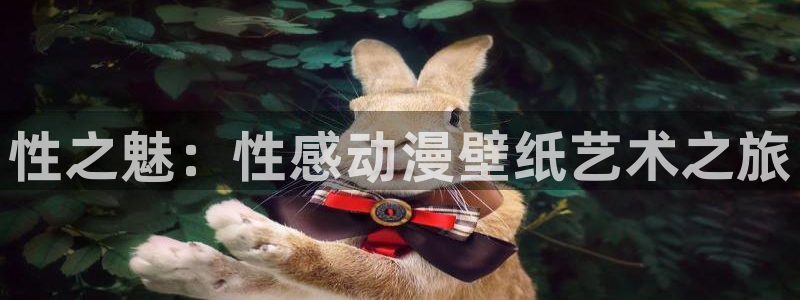 变形金刚78动漫网