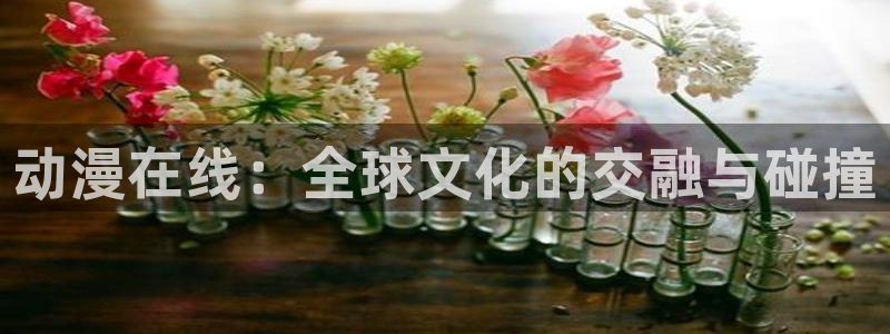 78动漫变形金刚