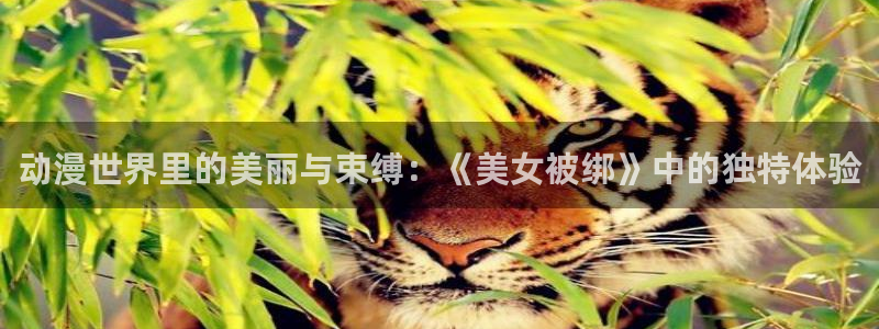 78动漫免费