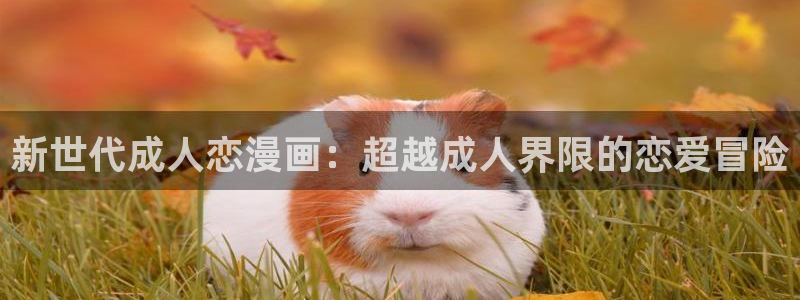 78动漫在线看