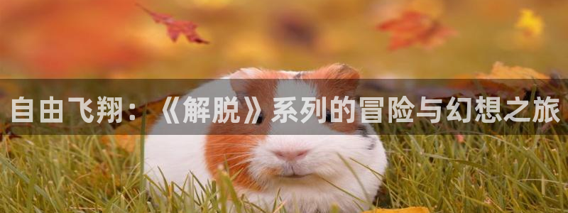 178动漫：自由飞翔：《解脱》系列的冒险与幻想之旅