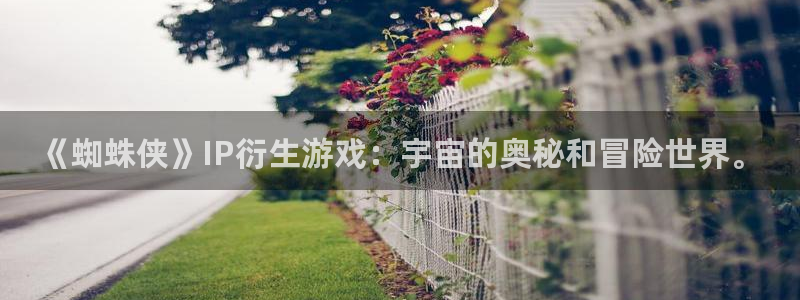 7878动漫网：《蜘蛛侠》IP衍生游戏：宇宙的奥秘和冒险世界。