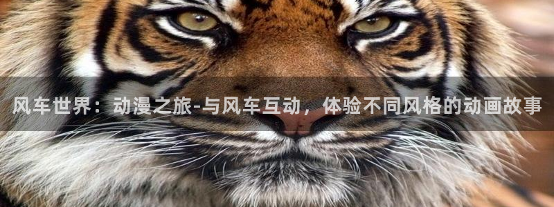178动漫：风车世界：动漫之旅-与风车互动，体验不同风格的动画故事